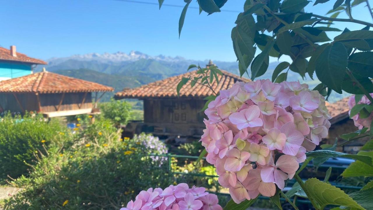 Beceña Casa Joglarヴィラ エクステリア 写真